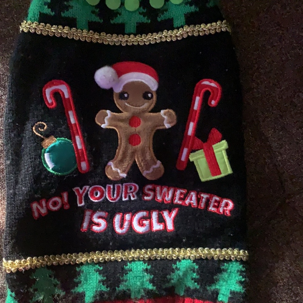 Dog’s Christmas ugly sweater